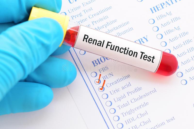 Renal Function Test