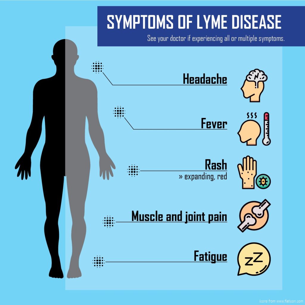 Lyme disease blood test?