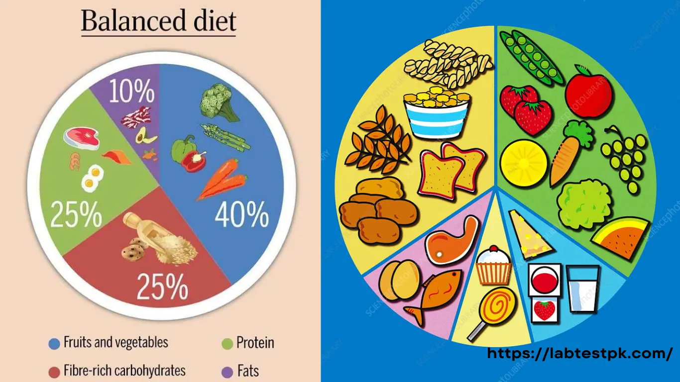 Perfect Balanced Diet Chart for Lab Test Information